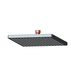 Custom Ceiling Mounted Rain Shower Head