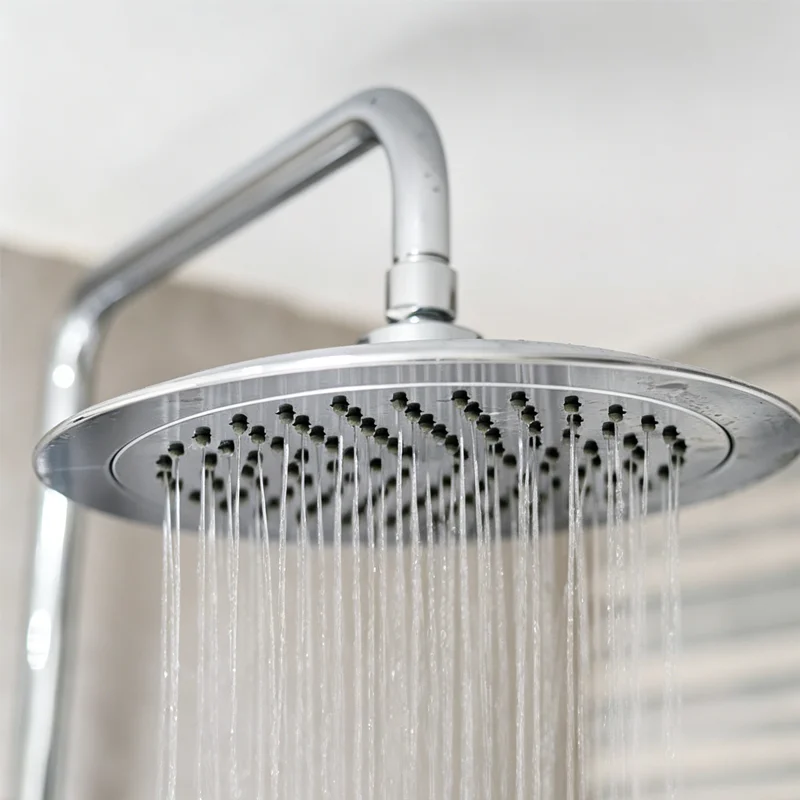 ceiling shower head