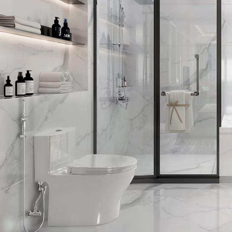 chrome bidet spray