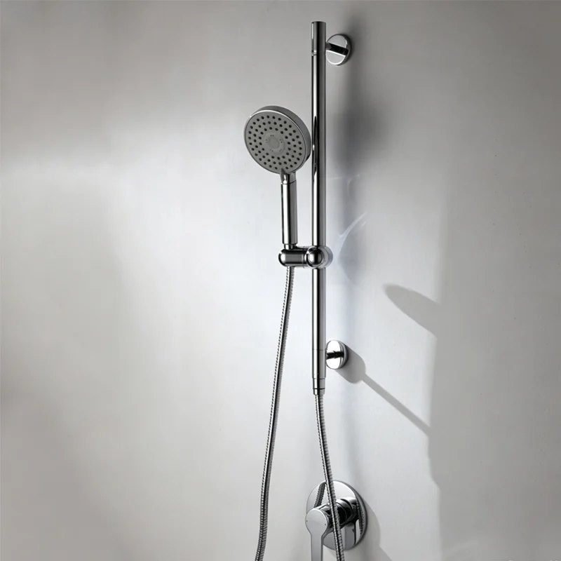 filtered shower head with handheld