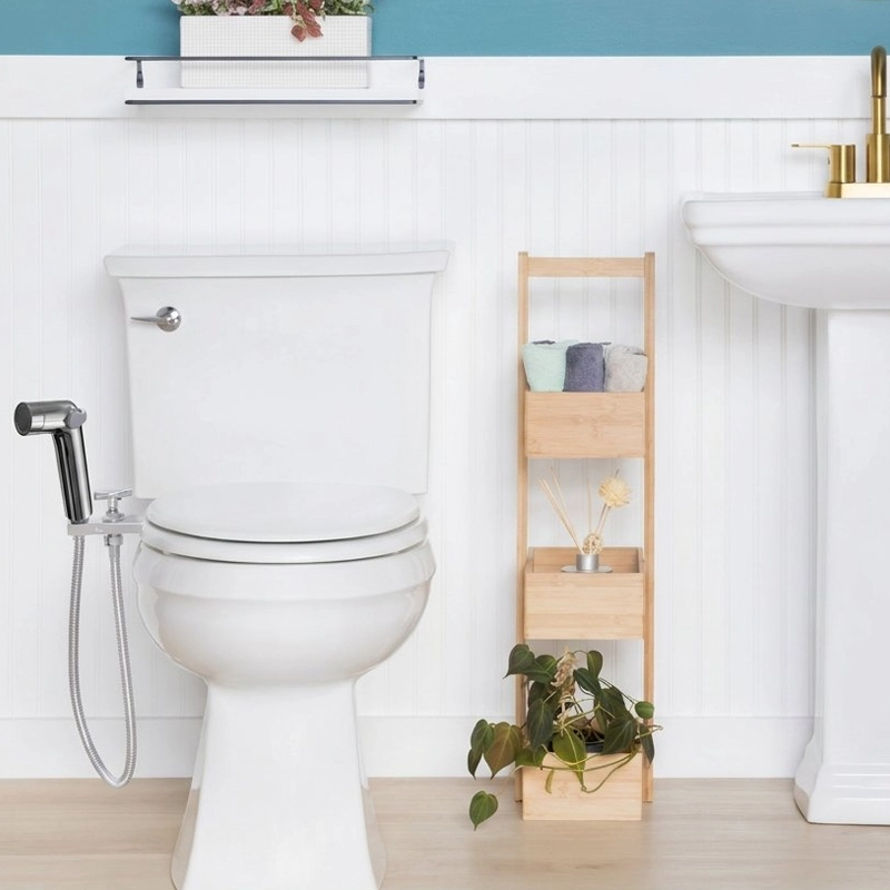 toilet jet spray