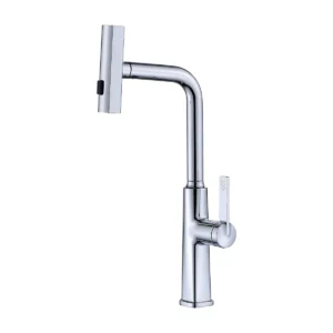 Stainless Steel Pull Down Kitchen Faucet