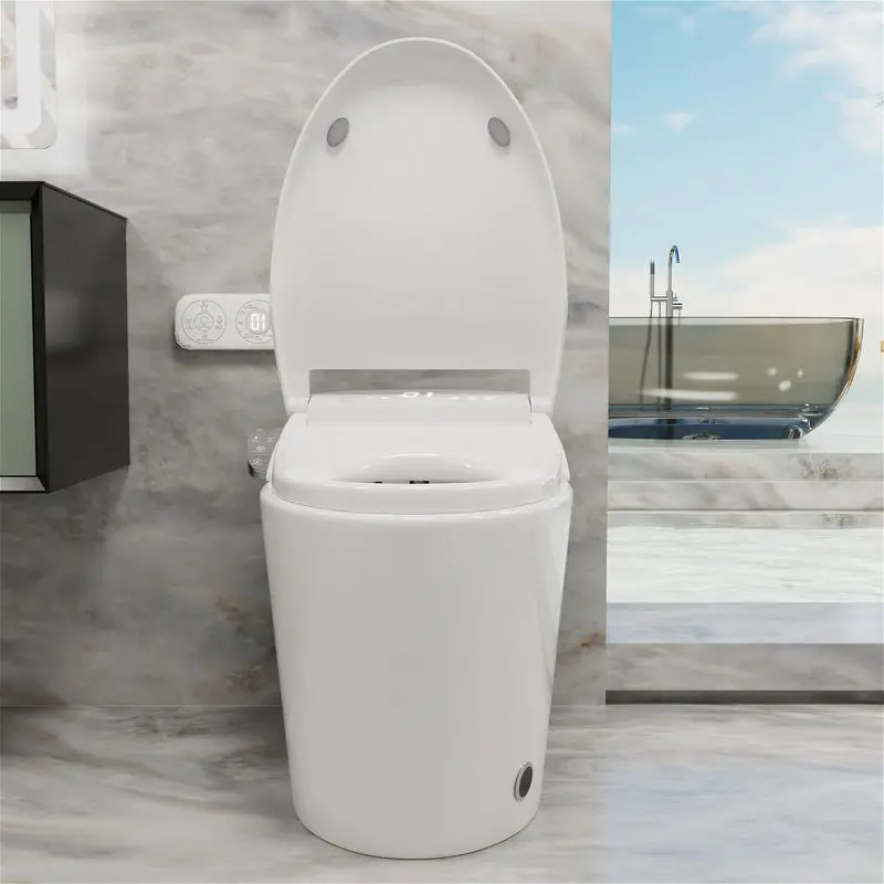 brushed brass bidet spray