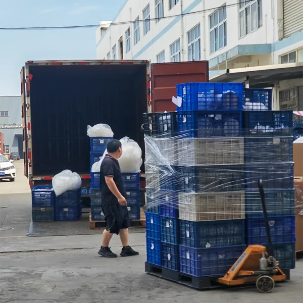 Finished Goods Loading & Outbound Operation at Factory