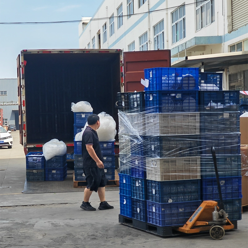 Finished Goods Loading & Outbound Operation at Factory