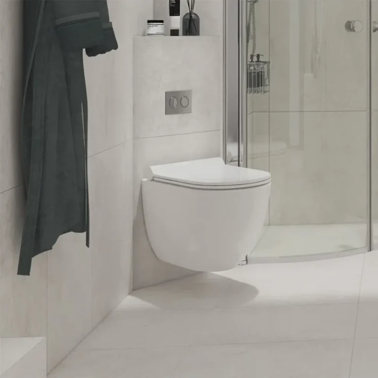 custom toilet