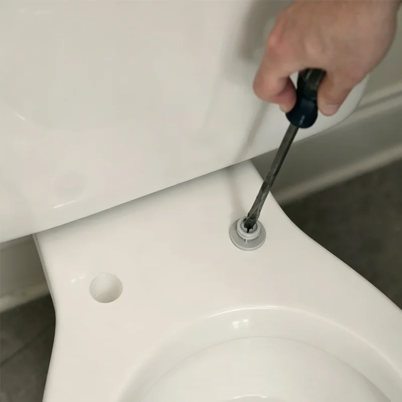 toilet lid replacement